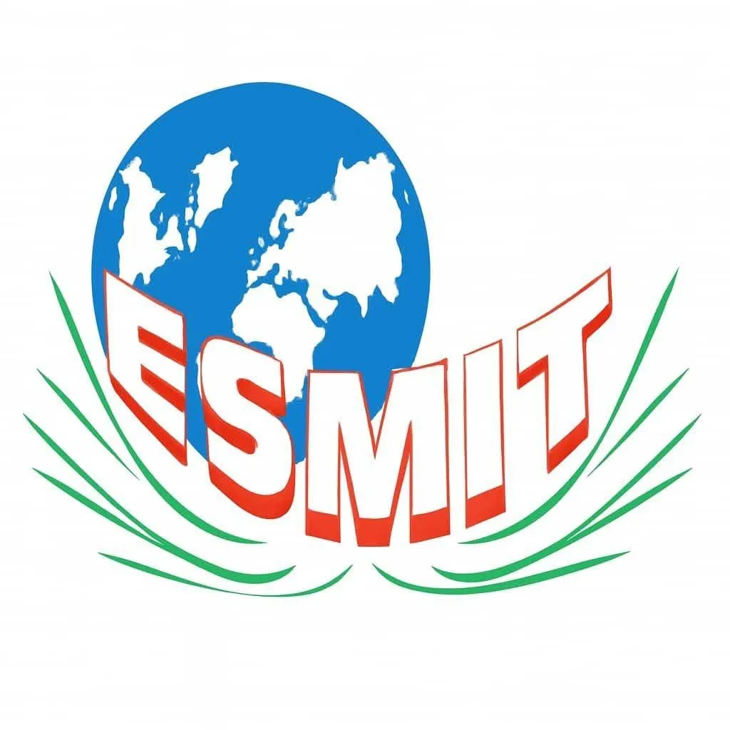 Logo Groupe ESMIT